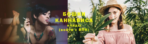 винт Нея