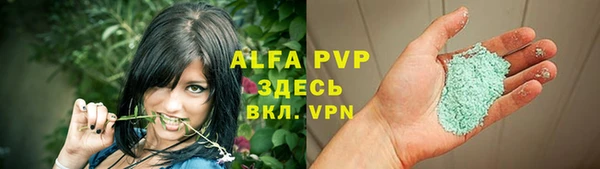 стаф Абинск
