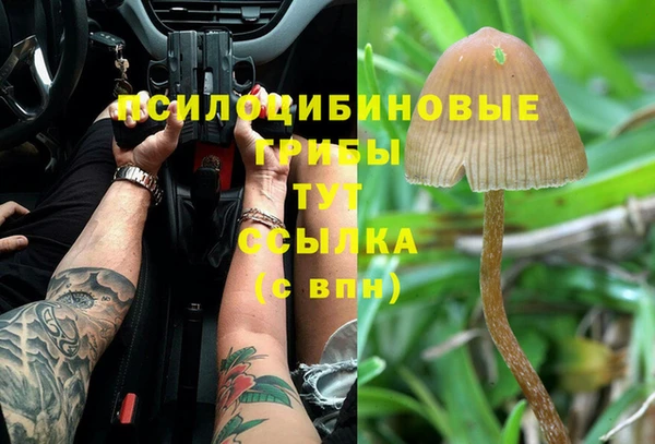 бошки Нефтегорск