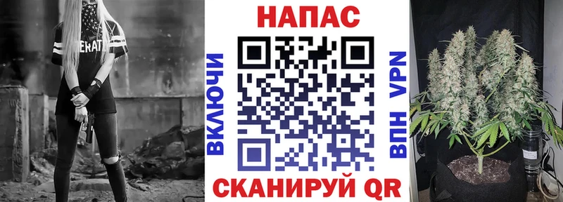 Канабис сатива  купить  цена  Урень 